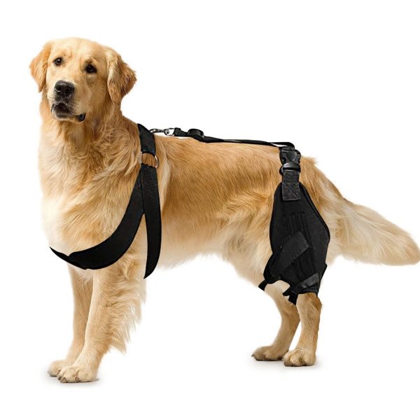 WOWMAX Dog Knee Protector for Running, Jumping & Recovery