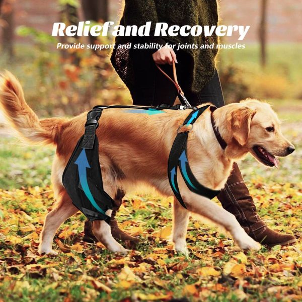 WOWMAX Dog Knee Protector for Running, Jumping & Recovery - Image 2