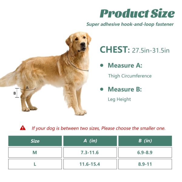 WOWMAX Dog Knee Protector for Running, Jumping & Recovery - Image 4