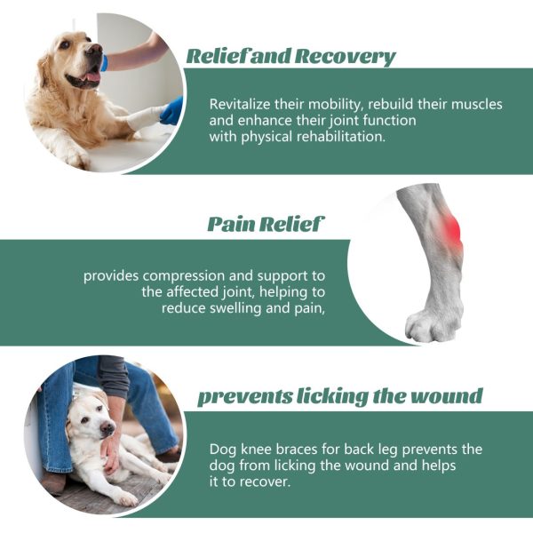 WOWMAX Dog Knee Protector for Running, Jumping & Recovery - Image 7
