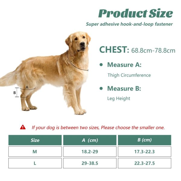 WOWMAX Dog Knee Protector for Running, Jumping & Recovery - Image 11